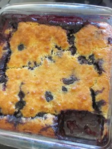 blueberry cobler 4 the girls